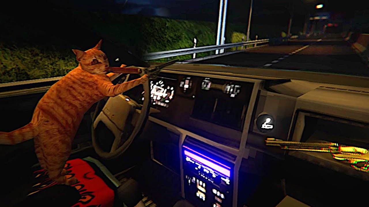 Cat with Gun Driving – Nip for Speed
