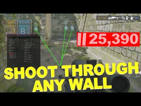 Hacks: Shoot Through Any Wall!