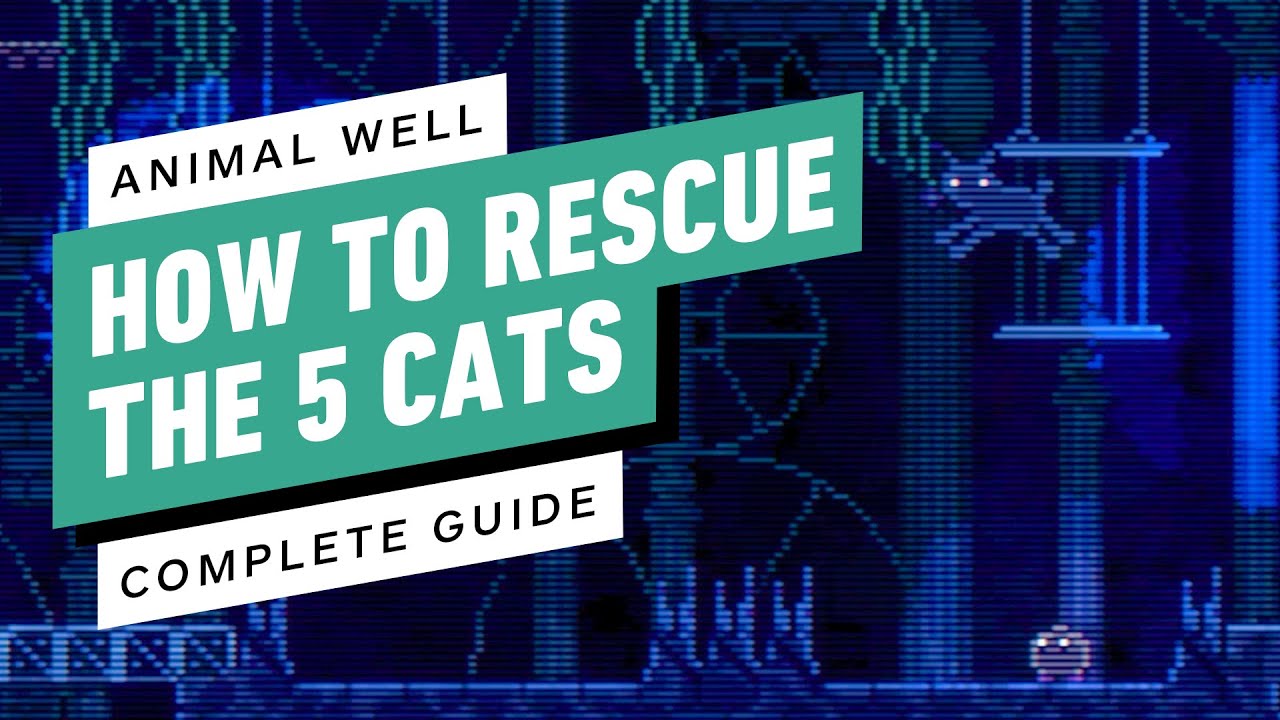 Animal Well - How to Save the 5 Cats