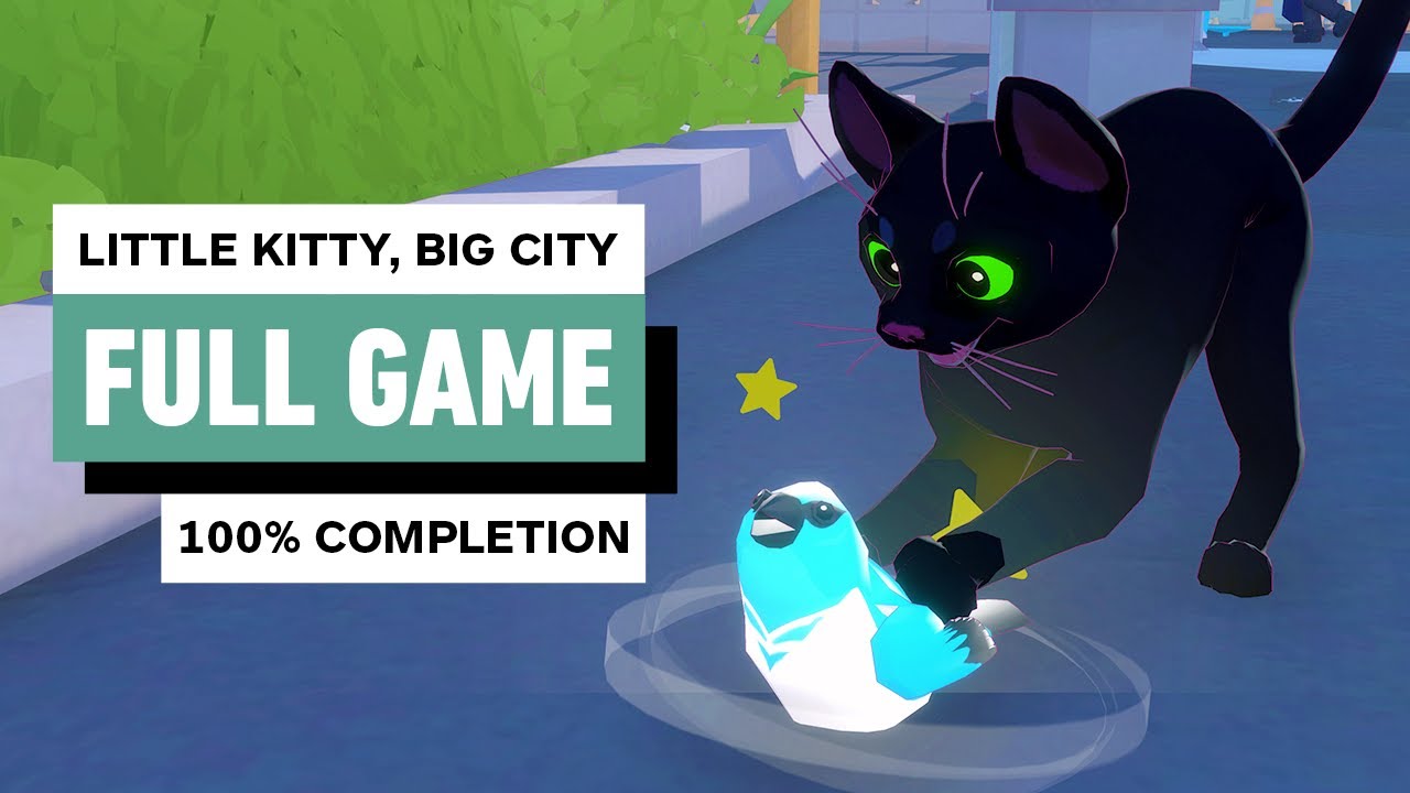 Meow or Never: Big City Success in IGN’s Little Kitty Game